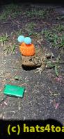 /home//u458753944/public_html/sourcegallery///Roxborough Toad Detour/2025/2025-04-26/20250426_205120.jpg